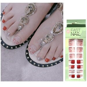 yzTurkalla lC`bv p 24 12ʃTCY 3D̊ _Ch ґ\邾ȒP JԂg  U WFlC lCV[  lCA[g lCp[