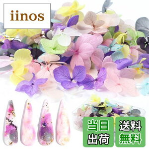 yz1obO hCt[ [X̂悤ȕ VR̉ lCnhNtgɂg WFlCpfR f lCp[c FF50pcsATCYF50 (x 1)