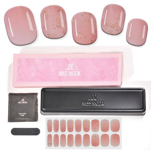 yzMISS MODA WFlCV[ d^Cv lCV[ WFlC \邾5_WFlCZbg lCV[lCXebJ[ 36tips \ FF025ATCYF22PCS