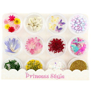 【送料無料】Princess-style レジンパーツ ドライフラワー ユーフォルビア入り ネイル レジン 押し花 材料 12種類セット 色:ピンク パステル
