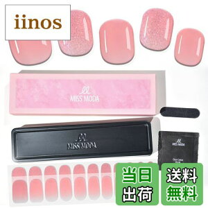 yzMISS MODA WFlCV[ d^Cv lCV[ WFlC \邾5_WFlCZbg lCV[lCXebJ[ 36tips \ FF033ATCYF22PCS