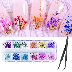 yz1{bNX hCt[ [X̂悤ȕ VR̉ 12Fxe5 v60 {1lCT\ WA[glCfނ pP[XANZT[p[c ṽlC