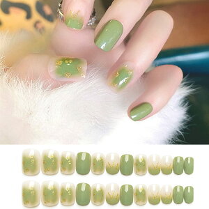 yzTurkalla lC`bv p 24 12ʃTCY 3D̊ \邾ȒP JԂg FFB