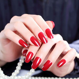 yz24 ŔA[JF̃EhwbhlCA[g`bvAuC_PF̃lC`bv (bh) FFbh