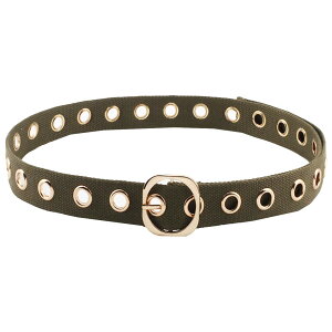 yzWHITE FANG(zCgt@O) xg Rxg EGXg JWA S[h  킢 fB[X Y BT228 FF05:J[LATCYFTCY