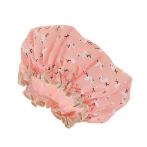 yzVOCOSTE V[Lbv wALbv  2wh JԂp\ C  SPA p 1 FFIW sN