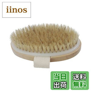 yz{fBuV Ȕn100 p Sg}bT[W w oXpi Cp  _炩 ORIENEX TCYF12x6.5Z`[g (x 1)