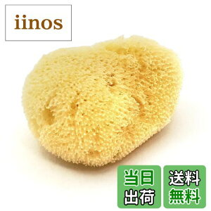 �y���������z�I�[�X�g�����A�Y �V�R�C�ȃX�|���W 5cm 5�Z�b�g �T�j�^���[ ���C�N No.251 �F�F�C�G���[�A�T�C�Y�F5cm