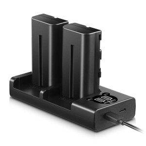 �y���������zENEGON Sony NP-F550/NP-F570�݊��o�b�e���[�i2�j2900mAh+USB�[�d�� �Ή�NP-F530/ NP-F550 /NP-F570/ NP-F330/ CCD-RV100/ RV200/ TR1 /TR940 /TR917 /CN-160 /CN-216 /CN-304 /YN 300 /V607u /V617u