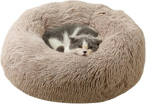 �y���������z�L �x�b�h Toyuxe �� �x�b�h �y�b�g�x�b�h �L�x�b�h �y�b�g �N�b�V���� �y�b�g�x�b�h �� �y�b�g�p�i �x�b�h �L�p�ӂ�ӂ�x�b�h �L���_���ɂȂ�x�b�h ������ �L�ӂ��ӂ��x�b�h 