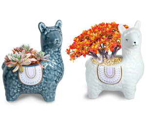 �y���������zsiawadeky ���킢�� �A���p�J �A�ؔ� 2�Z�b�g ������ ���픫 ���� �v�����^�[ �����A�� �T�{�e�� �v�����^�[�|�b�g�̑��� �n�[�u�v�����^�[ �K�[�f�j���O �z�[�� �I�t�B�X ���