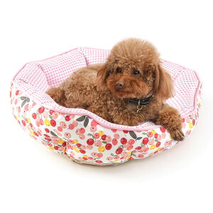 �y���������zJEMA �L �x�b�h ���x�b�h ��100% �ӂ�ӂ� ���E���h �y�b�g�N�b�V���� �x�b�h �y�b�g�x�b�h �\�t�@�[ �ʔN�p �t �� �H ����~�� ����\ �q�� �L�p 57*52*16cm ������