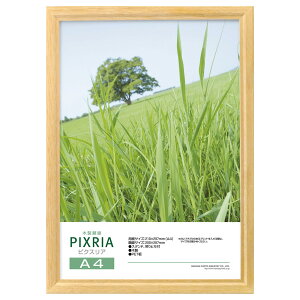 �y���������z�n�N�o �y����zHAKUBA �ؐ��z�� �s�N�X���A A4�T�C�Y �i�`������ �|�X�^�[�t���[�� �t�H�g�t���[�� �O��PET�� �݂�R�t��FWPX-NTA4