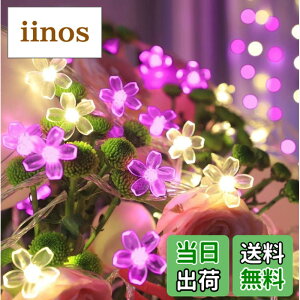 �y���������zSITEDAN �� �X�g�����O���C�g �\�[���[ �C���~�l�[�V�������C�g �� 7M50�d�� 2�g���v100�� �s���N���E�H�[���z���C�g LED ���O �t�����[ �K�[�f�����C�g 8���[�h �h�� �N���X�}�X���C