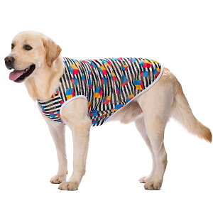 yzAmzBarley    Ђ N[xXg Vc bV ^Ngbv ڐG⊴   ʋC Lk ₷ ^ Č  hbOEFA Ăh Eѕی 