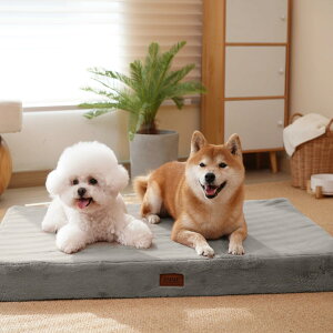 yzEMME  xbhtFCNrbgt@[ g Lpybgxbh 􂦂RۖhL 32DE^  q L  OJo[ ~ ^ 90x6