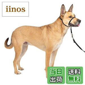 yzPetSafeiybgZ[tj̈h~ObY WFg[_[ wbhJ[ ubN MTCY