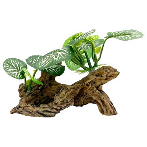 yzCharmoon  IuWF   B ANAE I[ig u CeA 