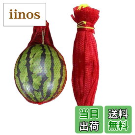 【送料無料】Granmagazz 100 個多用途に延びる網袋丈夫な網袋スイカネットを弔るしま, 再利用可能な巾着スイカネット メロンハンモック スイカネット強力な耐荷重スイカサポートスイカネット庭のキュウリの成長をサポートする収納ネットバッグ園芸ネット 果物袋 カボチャ