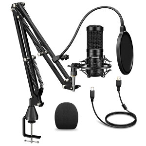 yzAokeo USB}CN RfT[}CN PC}CN }CNZbgi|bvK[htƃA[X^hj 192KHZ/24BITPC}CN Kp^ Cu Q[Ζ Windows Mac