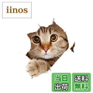 yzJunyueLiang J[ EH[XebJ[ XebJ[  L  pvc ǎ V[  CeA V[ ėp ϋv    X[cP[X p\R  J[Xe