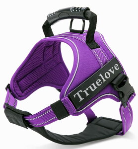 yzcocomall 2WAYAɗDn[lX Sypn[lX TRUE LOVE{X p hbO ybgpi 3Mˍޗ P o iCf ^A^A^Ɍ 