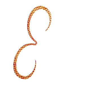 �y���������z�V�}�m(SHIMANO) �^�C���o �l�N�^�C ���� �X�g�����O�J�[���[ 003 ���b�h�S�[���h 135mm �� ���A�[�p�[�c