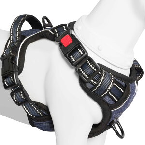 yz[2025ŐV^n[lX]BaoCheng p ^/^/^n[lX p h~ A^}ʂ P݌y TCY\ Ԕˍ Ȃ ʋC ȒP