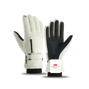 yz[Karsaer]XL[ O[u  hhh Xm{ O[u Y fB[X XL[ O[u N Xm[{[h oCN X}zΉ ~ h~  ʋC XL[/