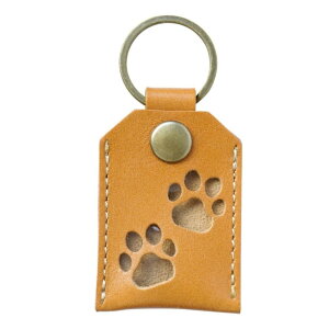 yzCOZENTA уP[X ѓ  L L[z_[ {v ybg A (CG[ )