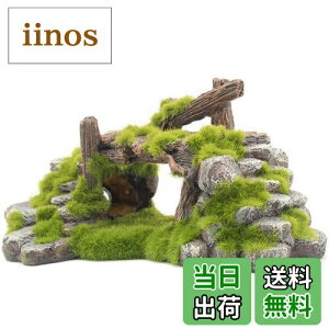 yzS-Lifeeling    A ؂̈  T ^N   GrVF^[