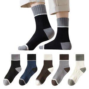 yz[Senteria] C Y \bNX  5/6/10Zbg X|[c\bNX jp Jt\bNX  RۖhL z ʋC ϋv Vv 풅  JWA ʋ 