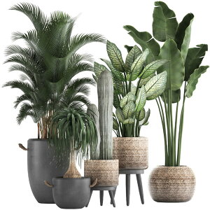 yzCondessacity EH[XebJ[ϗtA O[ A  iF ǎV[ ͂  k gsJ ǂĂ[ xbh[ rO[ 傫 EH[V