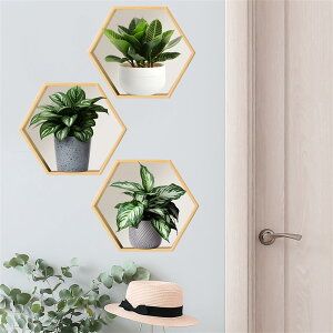 yzCondessacity EH[XebJ[ A A V[  k EH[y[p[ ϗtA A EH[Ă[ fR ͂ ǎV[ ǂɓ\  diy wall sti