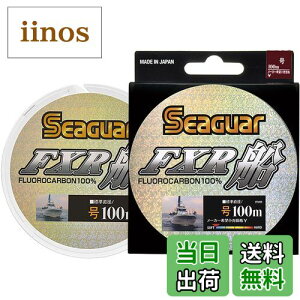 yzV[K[(Seaguar) nX V[K[ FXRD 100m 6