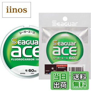 yzV[K[(Seaguar) nX V[K[ G[X 60m 5