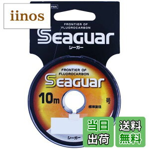 yzV[K[(Seaguar) nX V[K[ 10m 4