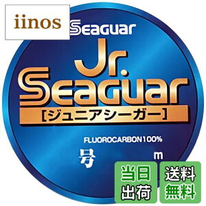 yzV[K[(Seaguar) nX Jr.V[K[ 45m 4