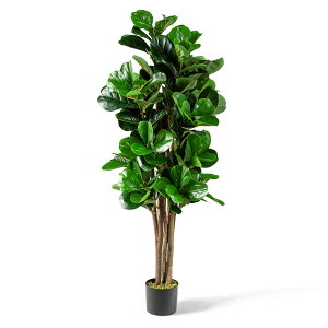 yzTANGKULA ϗtA tFCN KW} tFCNO[ ^ 150cm lHϗtA  CeA  O tFCNA lH ϗtA sv ͂Ȃ ~͐A (150cm)