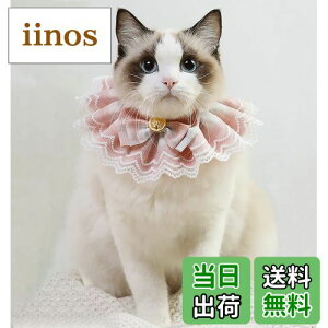 yzTengcong L̎ lR  悾ꂩ     ߉\ y ybgp lN^C 킢 y ^  Lp ybgpi (M, sN)