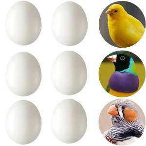 yzLYHMHAMY U vX`bN 6 Zb  CR  g _~[ ZLZCCR  ɐBpi ɂHiTv DIY i  K[fjO ANZT[