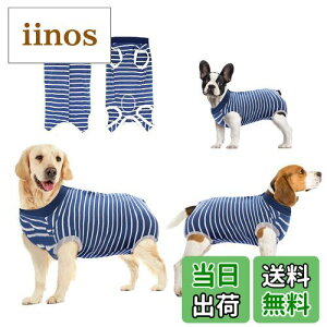 yzoUUoNNo pEFA ̂߂̉񕜃X[c ی rߖh~ 畆ی D  sDp {^^Cv Yp (M, Ɣ̃XgCv)