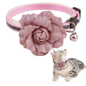 yzNOELAMOUR L  t   t[`[ y ybg lR Be Lp ߉\ (sN)