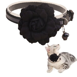 yzNOELAMOUR L  t   t[`[ y ybg lR Be Lp ߉\ (ubN)