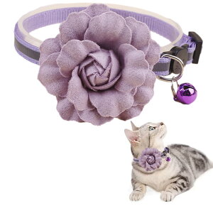 yzNOELAMOUR L  t   t[`[ y ybg lR Be Lp ߉\ (p[v)