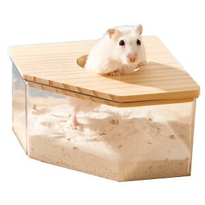 yzAsdays nX^[ gC NA R[i[^ @\ EL oX Vя  |₷ юUh~ (TCY)