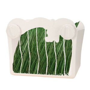 yzAsdays `V[|bg q tB[_[  bgOt lWsv e (zCg)