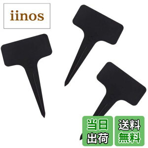 yzAllBright |x |px A^O | Ԓd A K[fjO 100Zbg (ubN)