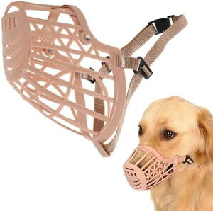 yzAllBright p}Y  ʖi EH ݂ r U  ybg ^ (XXL)