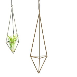 yzAllBright vgnK[ nLOv^[ GAvc AnK[ ϗtA ݂艺 CeA (uY)